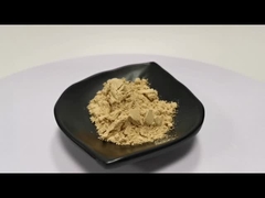 فطر الشيتاكي الصادر بالجملة فطر الشيتاكي الصادر بالبريد