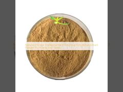 استخراج الأعشاب الصينية التقليدية الطبيعية Rhizoma Picrorhizae مسحوق Hu Huang Lian Extract