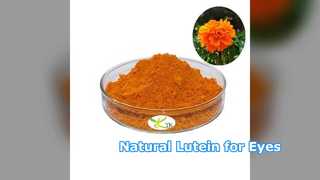 مسحوق اللوتين الطبيعي لصحة العين