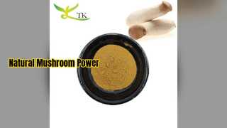 مستخلص فطر المحار يعزز المناعة وقوة الدماغ